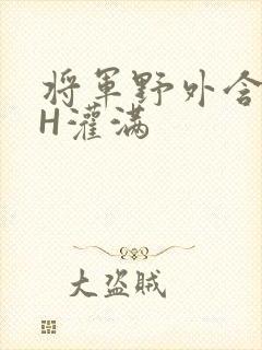 将军野外含公主H灌满封面
