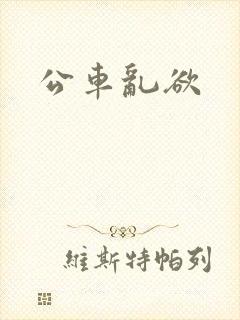 公车乱欲封面