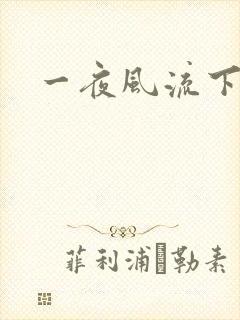 一夜风流下载