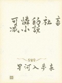 可怜的社畜无删减小说