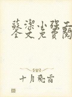 苏洁小强工地情全文免费阅读