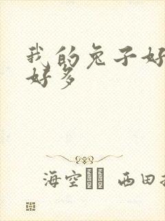 我的兔子好软水好多