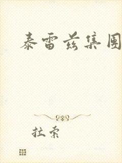 泰雷兹集团封面