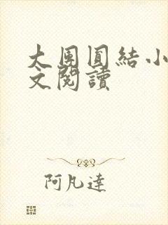 大团圆结小茹全文阅读封面