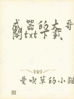 成器的大哥笔趣阁txt下载