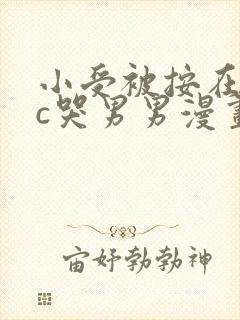 小受被按在墙上c哭男男漫画封面