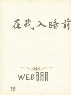 在我入睡前封面