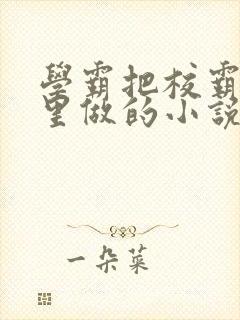 学霸把校霸往死里做的小说