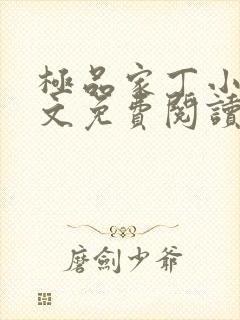 极品家丁小说全文免费阅读