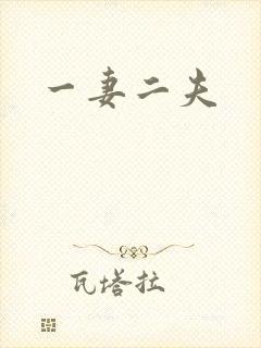 一妻二夫