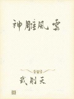 神雕风云