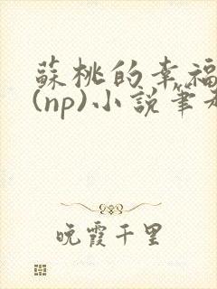 苏桃的幸福生活(np)小说笔趣阁