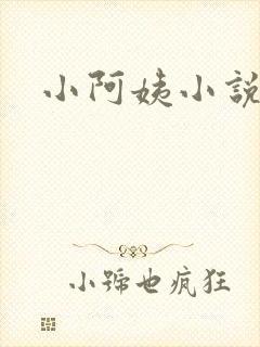 小阿姨小说