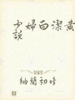 少妇白洁黄色小说封面