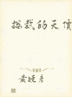 总裁的天价宠妻