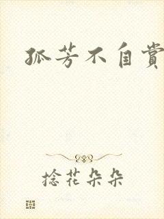 孤芳不自赏小说