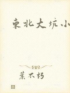 东北大坑小说