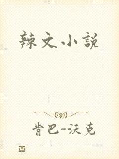 辣文小说