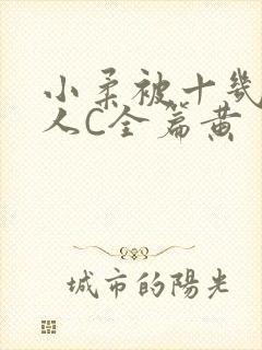 小柔被十几个男人C全篇黄