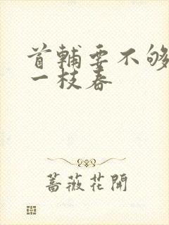 首辅要不够po一枝春封面