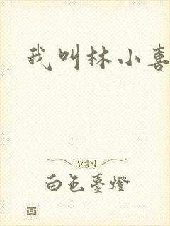 我叫林小喜17封面