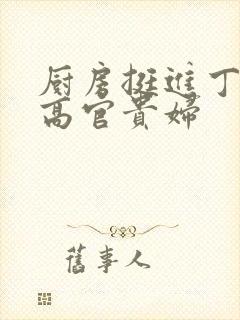 厨房挺进丁字裤高官贵妇