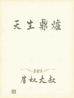 天生鼎炉封面