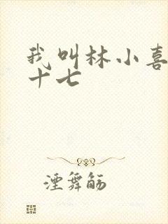 我叫林小喜今年十七