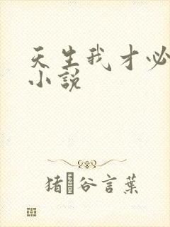 天生我才必有用小说封面