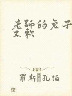 老师的兔子又大又软