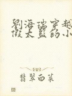 刘海瑞穿越后宫假太监的小说