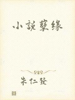 小说孽缘