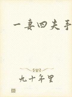 一妻四夫手记