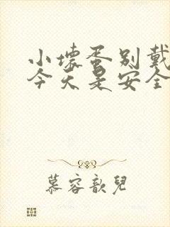 小坏蛋别戴套了今天是安全期封面