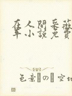 在人间采薇陆三平小说免费阅读