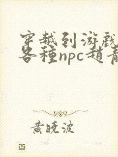 穿越到游戏里和各种npc赵青蔓封面