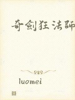 奇剑狂法师封面