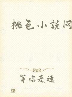 桃色小说网
