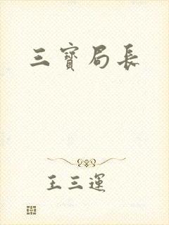 三宝局长封面