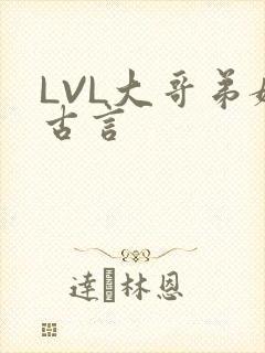 LVL大哥弟媳古言