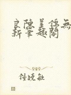 良陈美锦无删减新笔趣阁封面