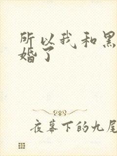 所以我和黑粉结婚了封面