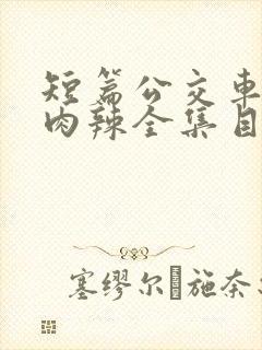 短篇公交车高h肉辣全集目录