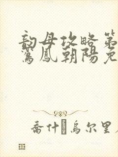 韵母攻略第二部鸾凤朝阳免费阅读