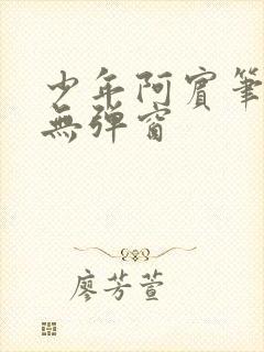 少年阿宾笔趣阁无弹窗