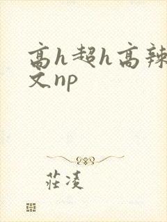 高h超h高辣h文np