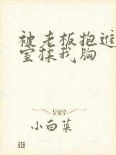 被老板抱进办公室揉我胸封面