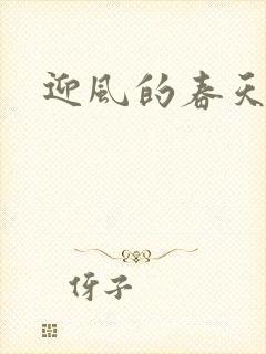迎风的春天封面