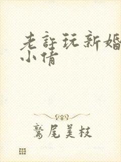 老许玩新婚少妇小倩封面