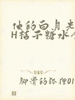 他的白月光HVH桔子糖水全文